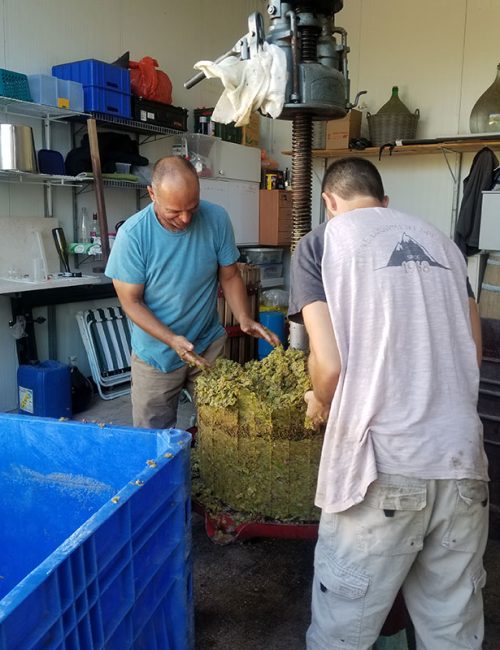 20200820_155929---עותק---עותק-(2)